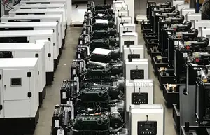 60KVA Cummins Diesel Generator With Foreign Canopy