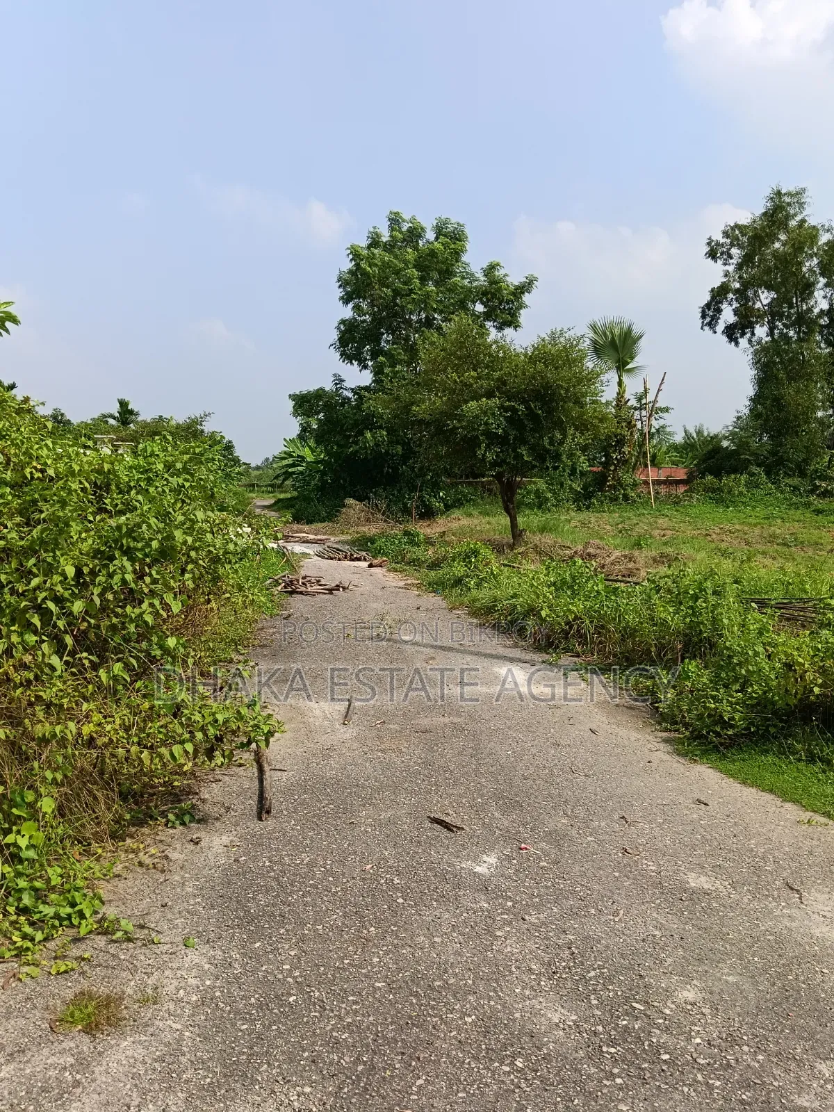 Sector-11, South Facing 5 Katha Plot for Sale