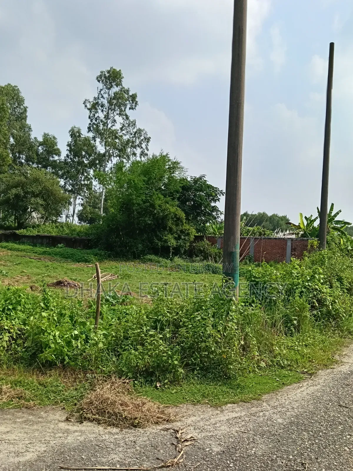 Sector-11, South Facing 5 Katha Plot for Sale