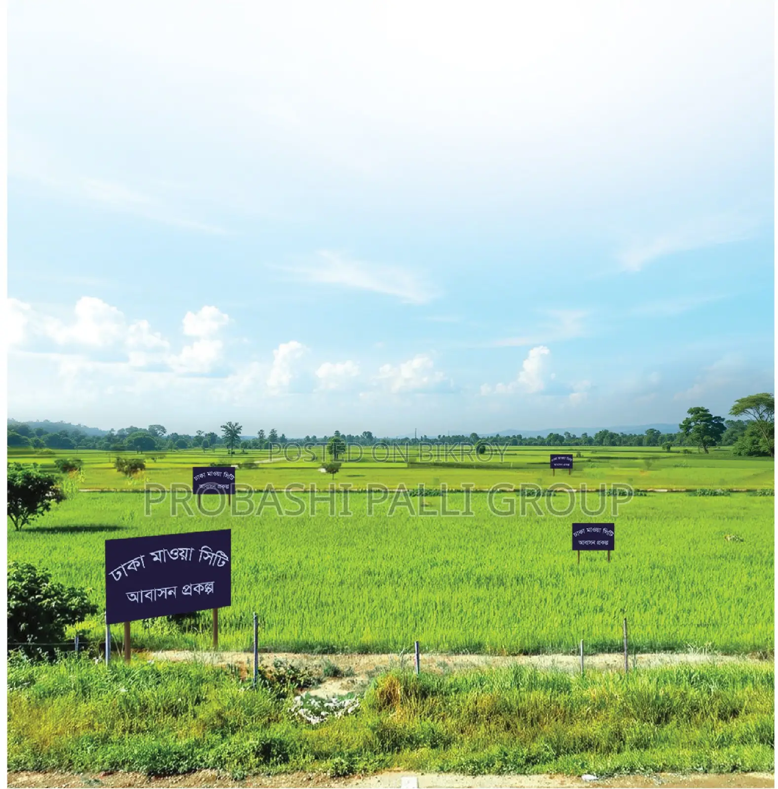 Buy a 03 katha plot at an affordable price