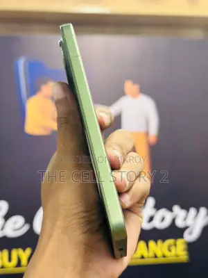 ভিভো এক্স৩০০ এফই ২৫৬ জিবি গ্রিন