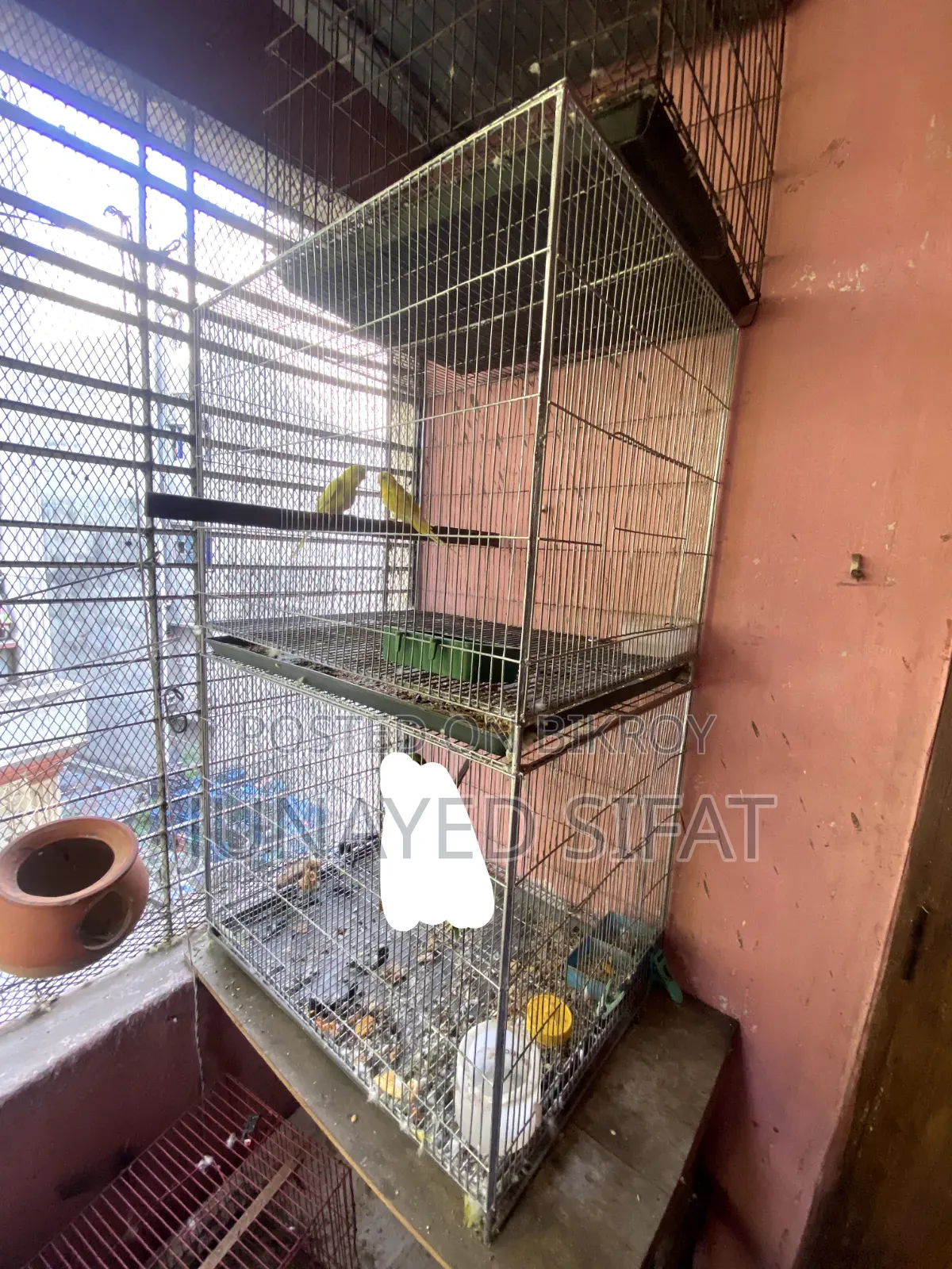 Bird Cage 2 Tola Bird Cage
