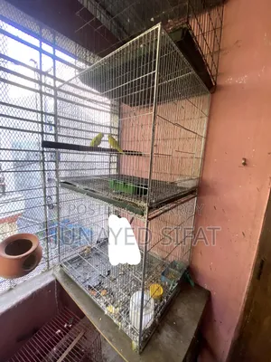 Bird Cage 2 Tola Bird Cage