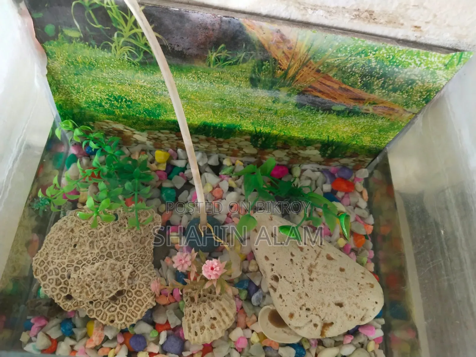 Aquarium