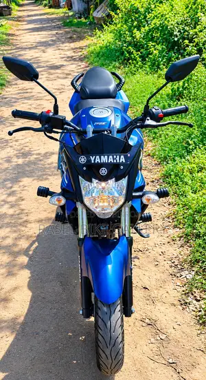 ইয়ামাহা এফজেড ২০২৪ ব্লু