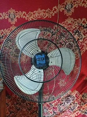 স্টেন্ড ফ্যান