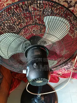 স্টেন্ড ফ্যান
