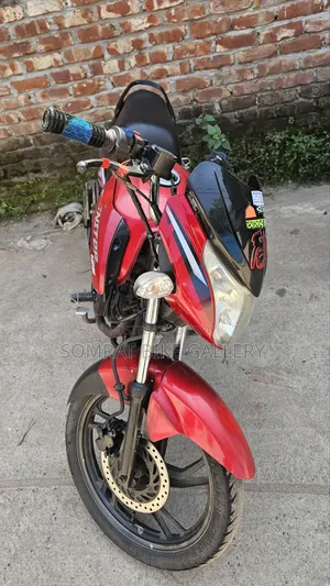 হিরো ইগনিটর ১২৫ টেকনো ২০১৯ রেড