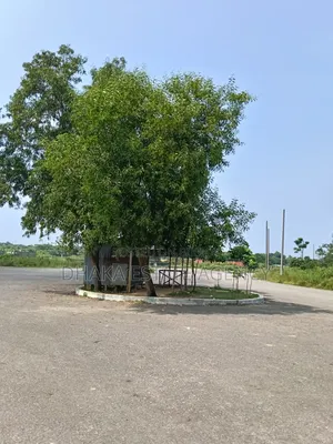 Sector-9, 15 Katha Plots for Sale on 100 Feet Road