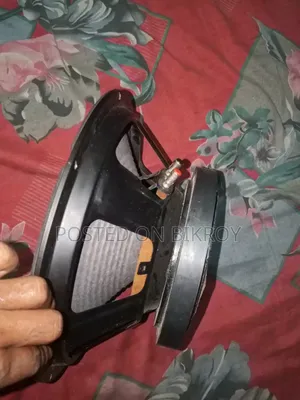 ১২ ইঞ্চি স্পিকার