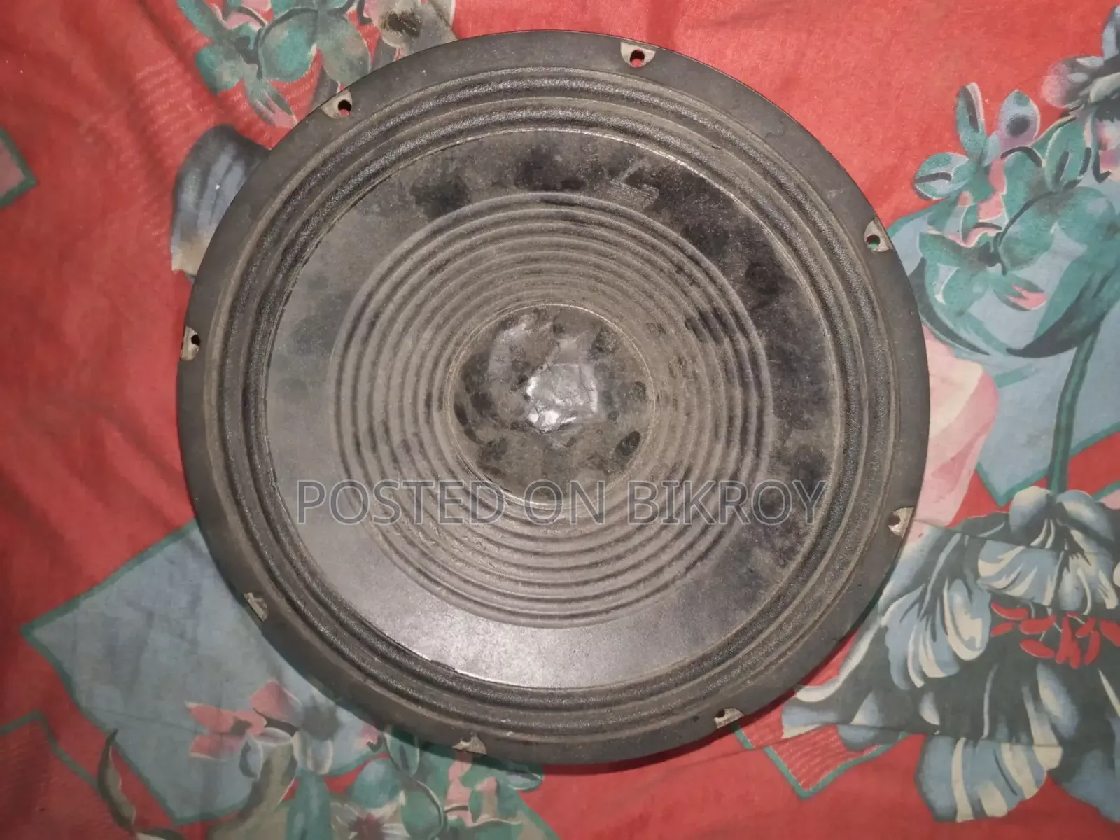 ১২ ইঞ্চি স্পিকার