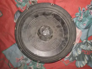 ১২ ইঞ্চি স্পিকার