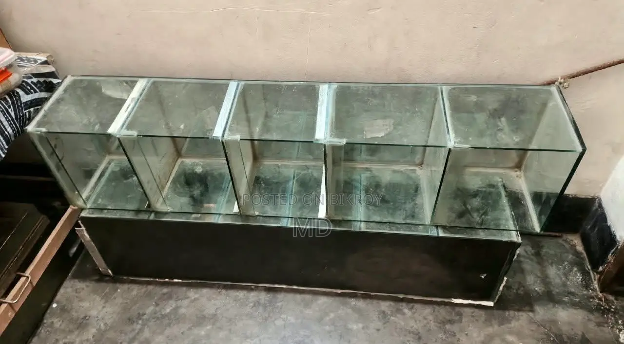 Shop Racks and Glass. Total 4+2 -- 6 pieces.