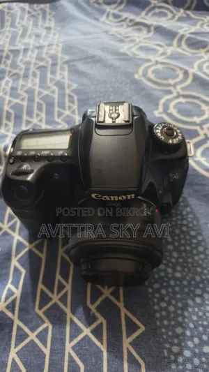 Canon 60d With 50mm Prime Lens STM