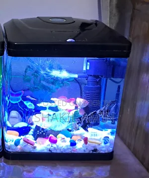 Chinese Aquarium