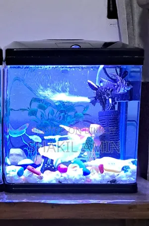 Chinese Aquarium