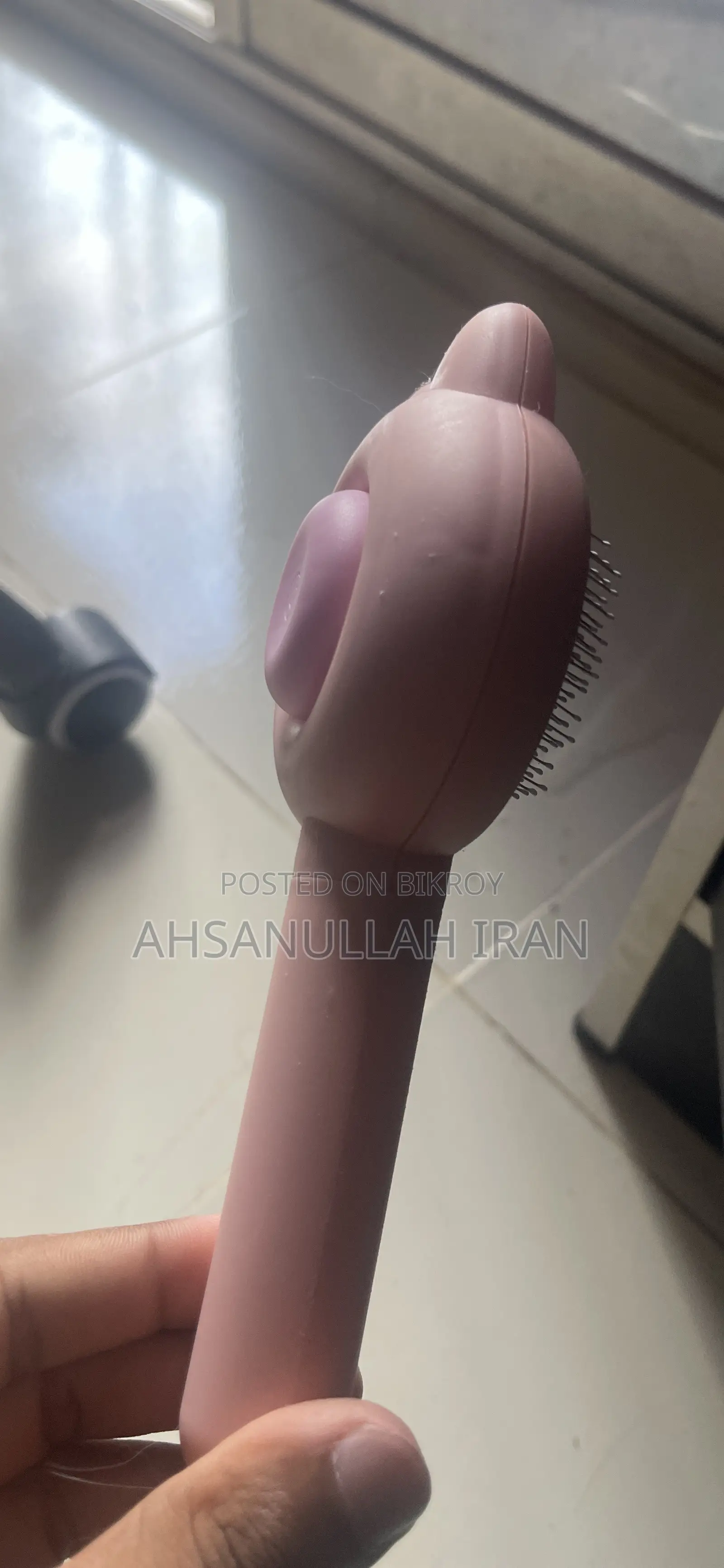 বিড়ালের এক্সেসরিজ