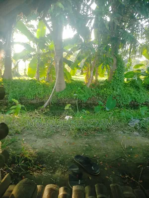 খুলনা মংলা হাইওয়ে রোডের পাশে