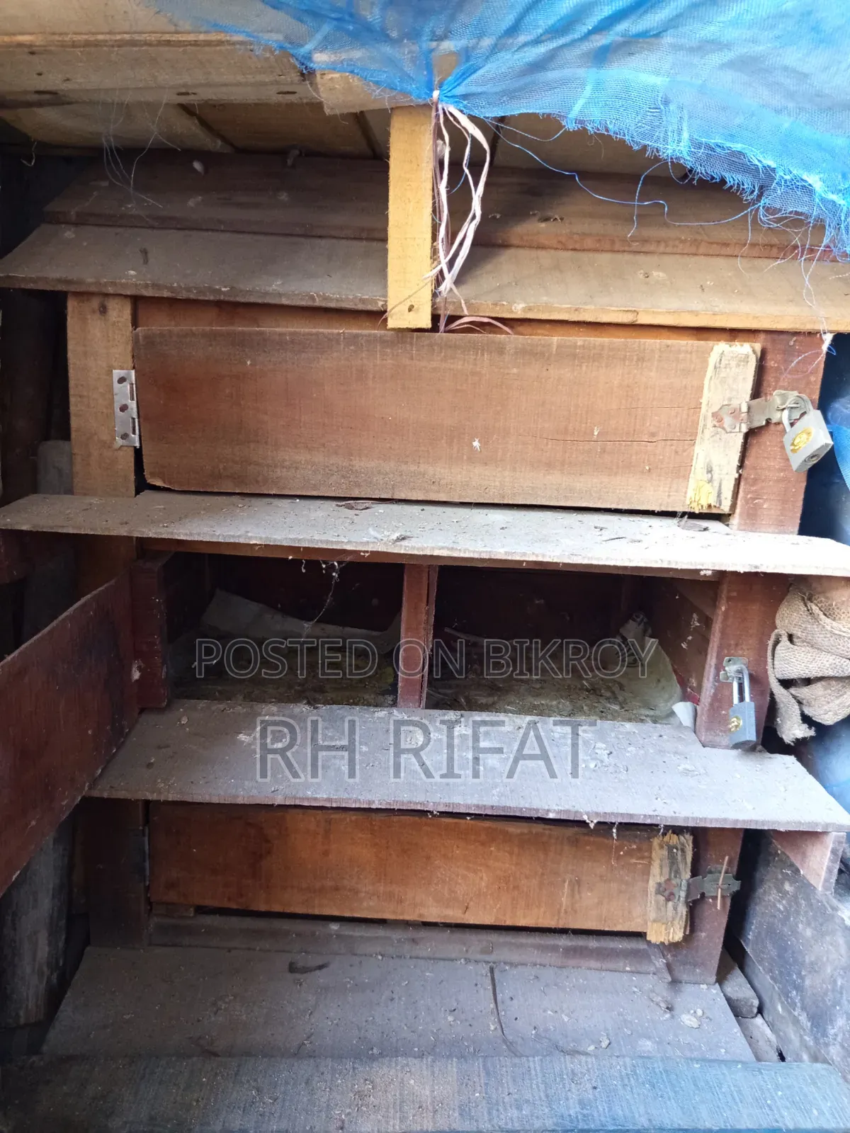 Pigeon Coop