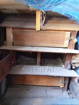 Pigeon Coop