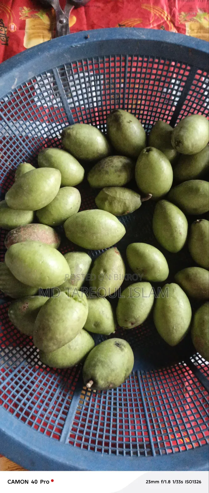 Fresh tree olives