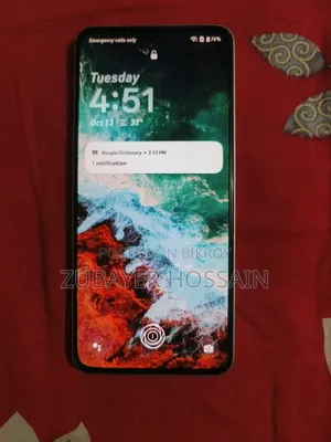 ওয়ানপ্লাস ১০আর ১২৮ জিবি সবুজ