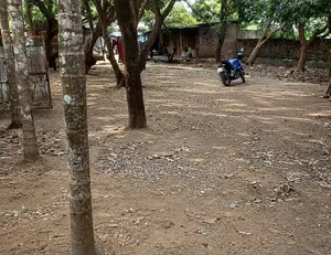 বোয়ালিয়ায় বিক্রয়ের জন্য ২০ বেডরুমের বাড়ি