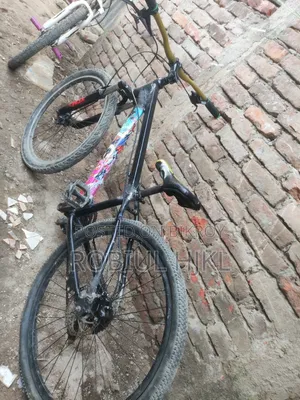 Stund Cycle For Sale