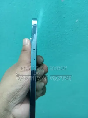 Apple iPhone 13 Pro Max 256 GB Blue