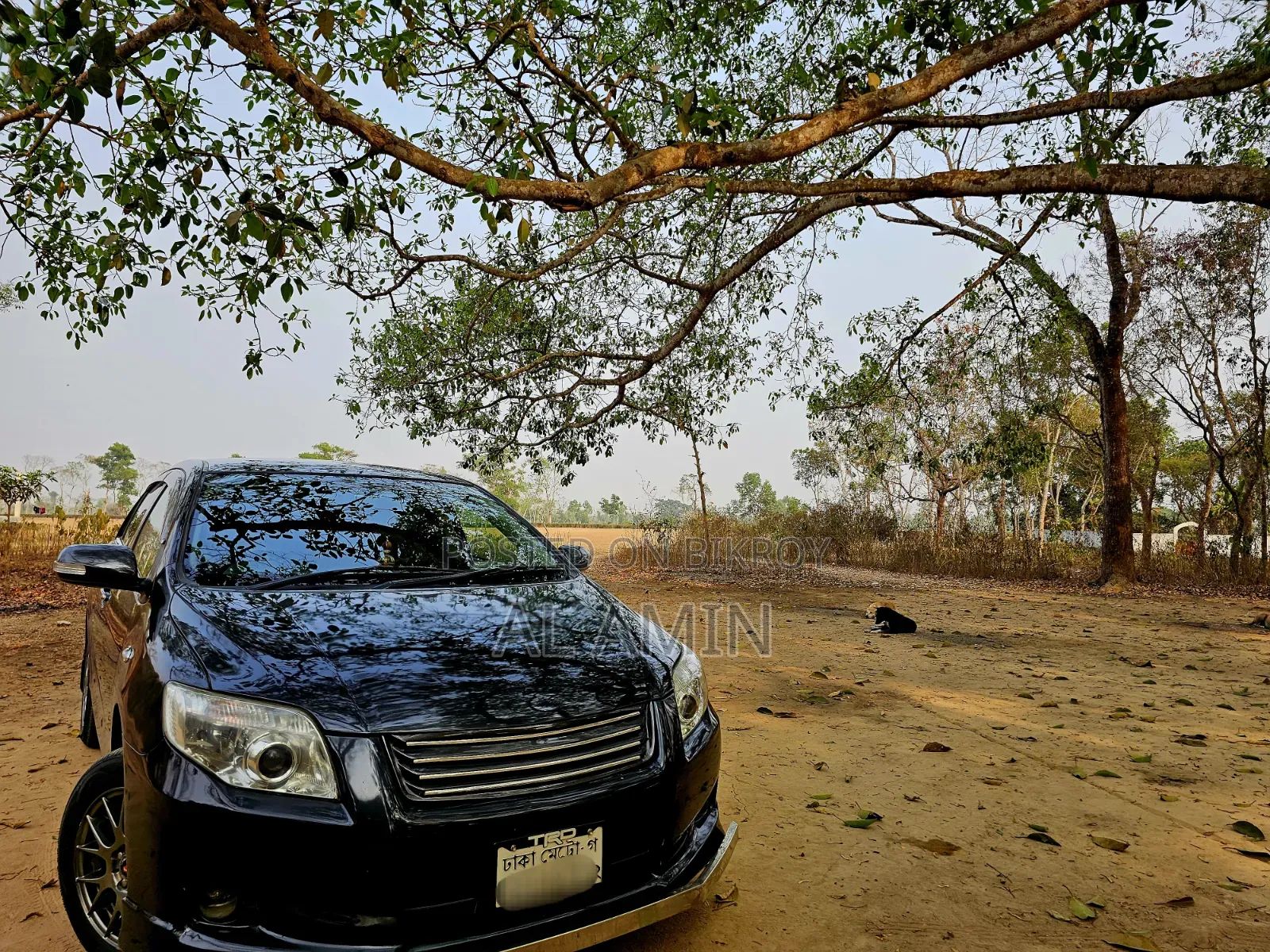 টয়োটা অ্যাক্সিও ২০১১ গ্রে