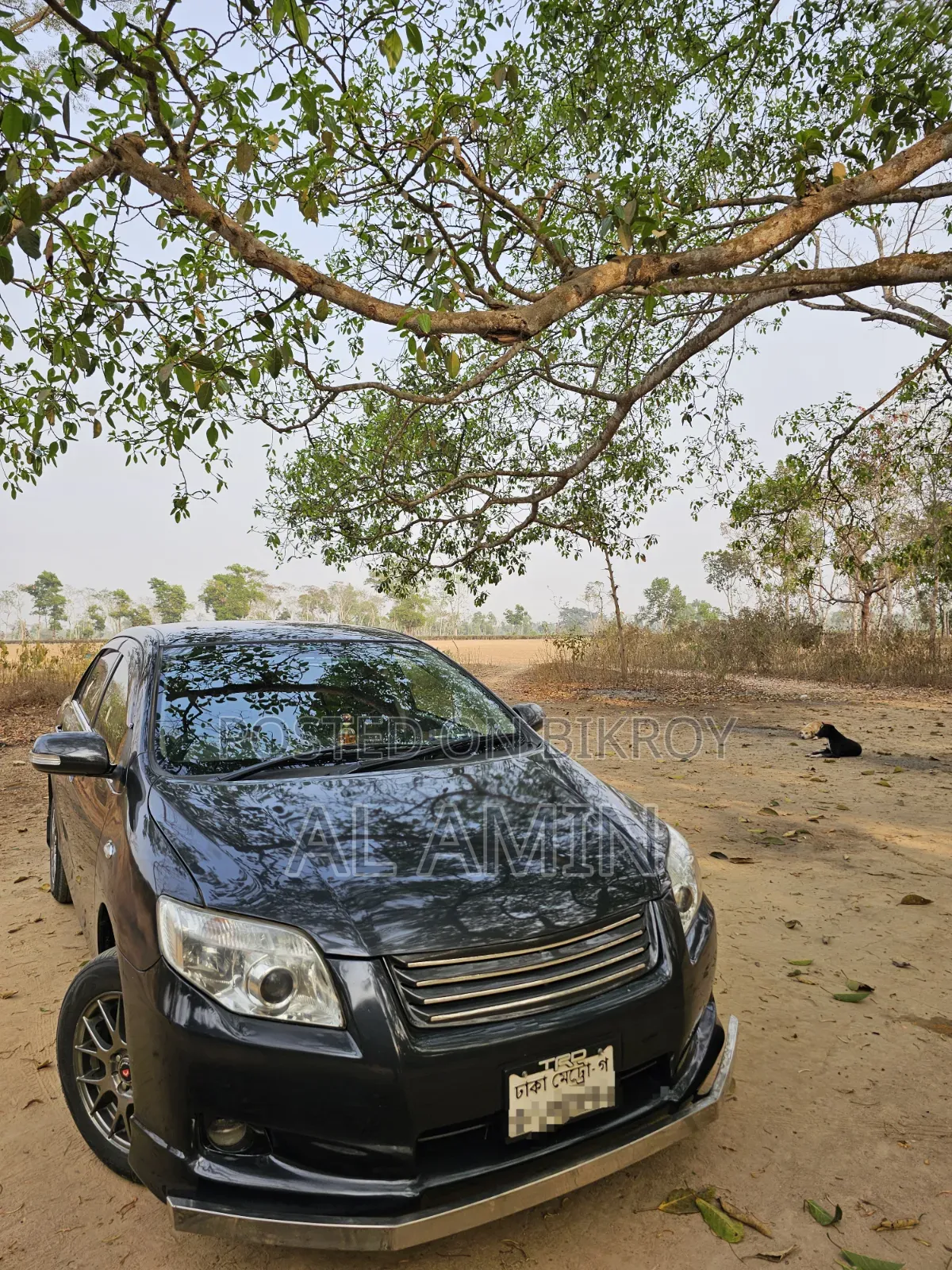 টয়োটা অ্যাক্সিও ২০১১ গ্রে