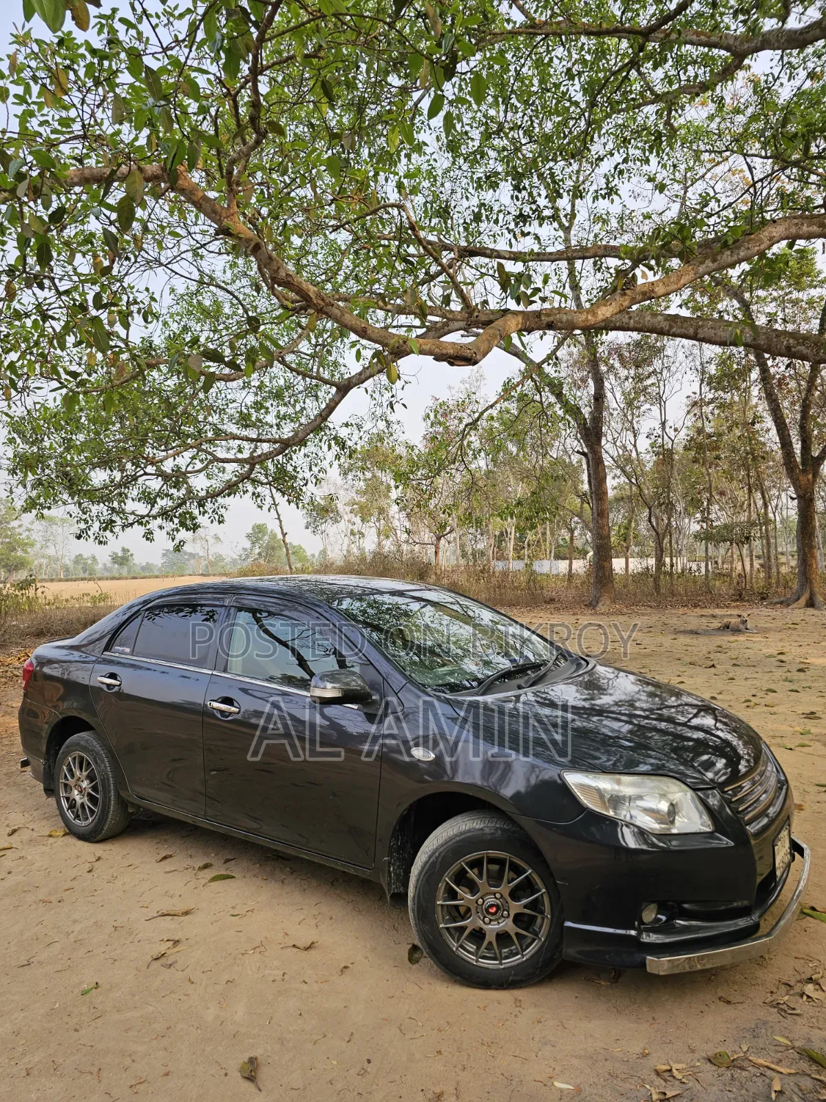 টয়োটা অ্যাক্সিও ২০১১ গ্রে