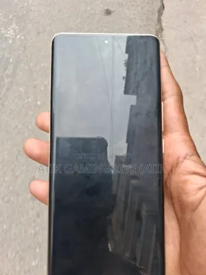 শাওমি ১২এস আল্ট্রা ২৫৬ জিবি সিলভার