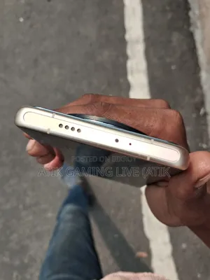 শাওমি ১২এস আল্ট্রা ২৫৬ জিবি সিলভার