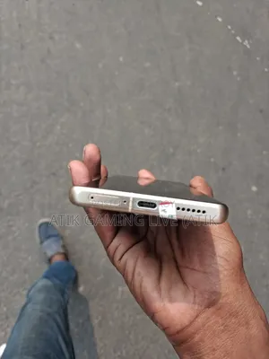 শাওমি ১২এস আল্ট্রা ২৫৬ জিবি সিলভার