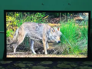 Walton Smart TV