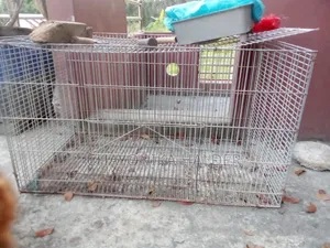 Bird cage