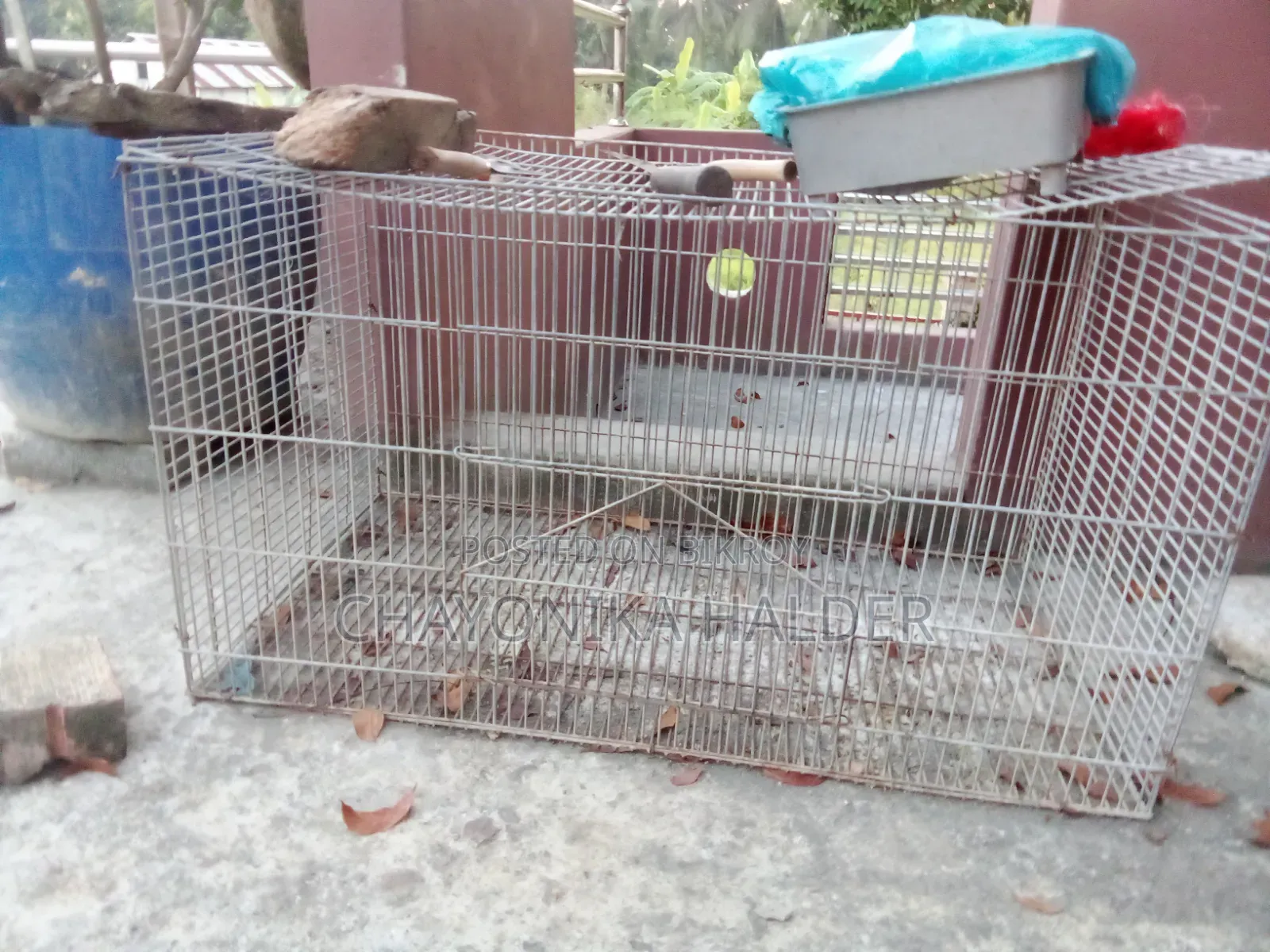 Bird cage