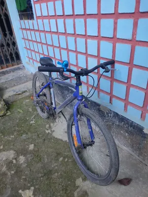 বাইসাইকেল দুরন্ত