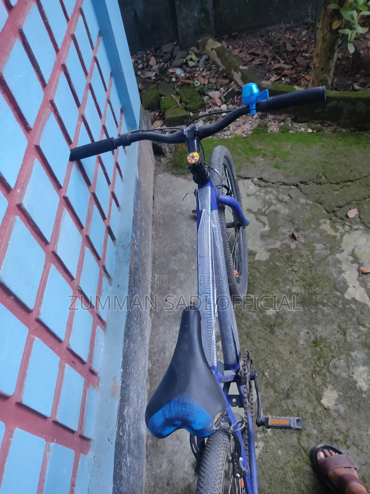 বাইসাইকেল দুরন্ত