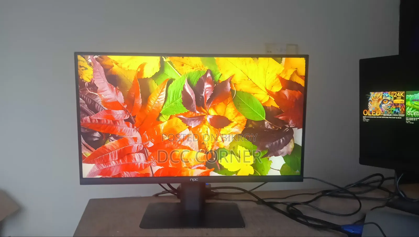 NPC 22" IPS Display Full HD Borderless Monitor