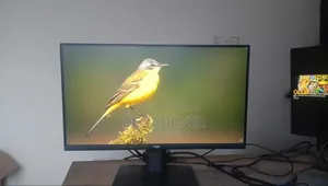 NPC 22" IPS Display Full HD Borderless Monitor