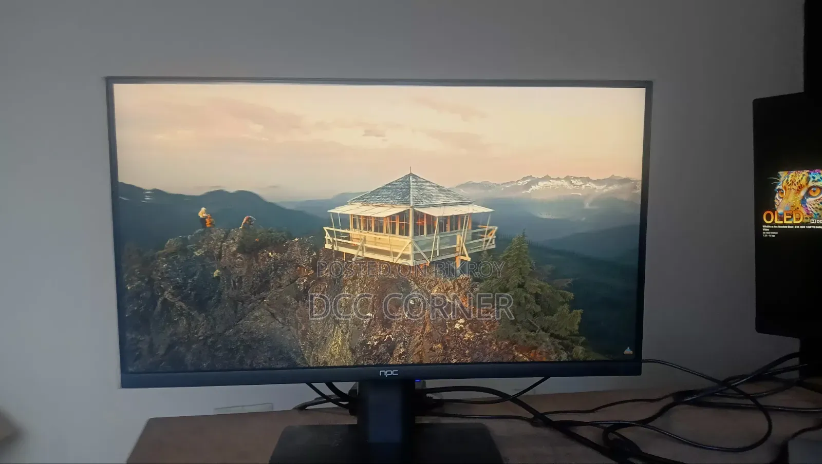 NPC 22" IPS Display Full HD Borderless Monitor