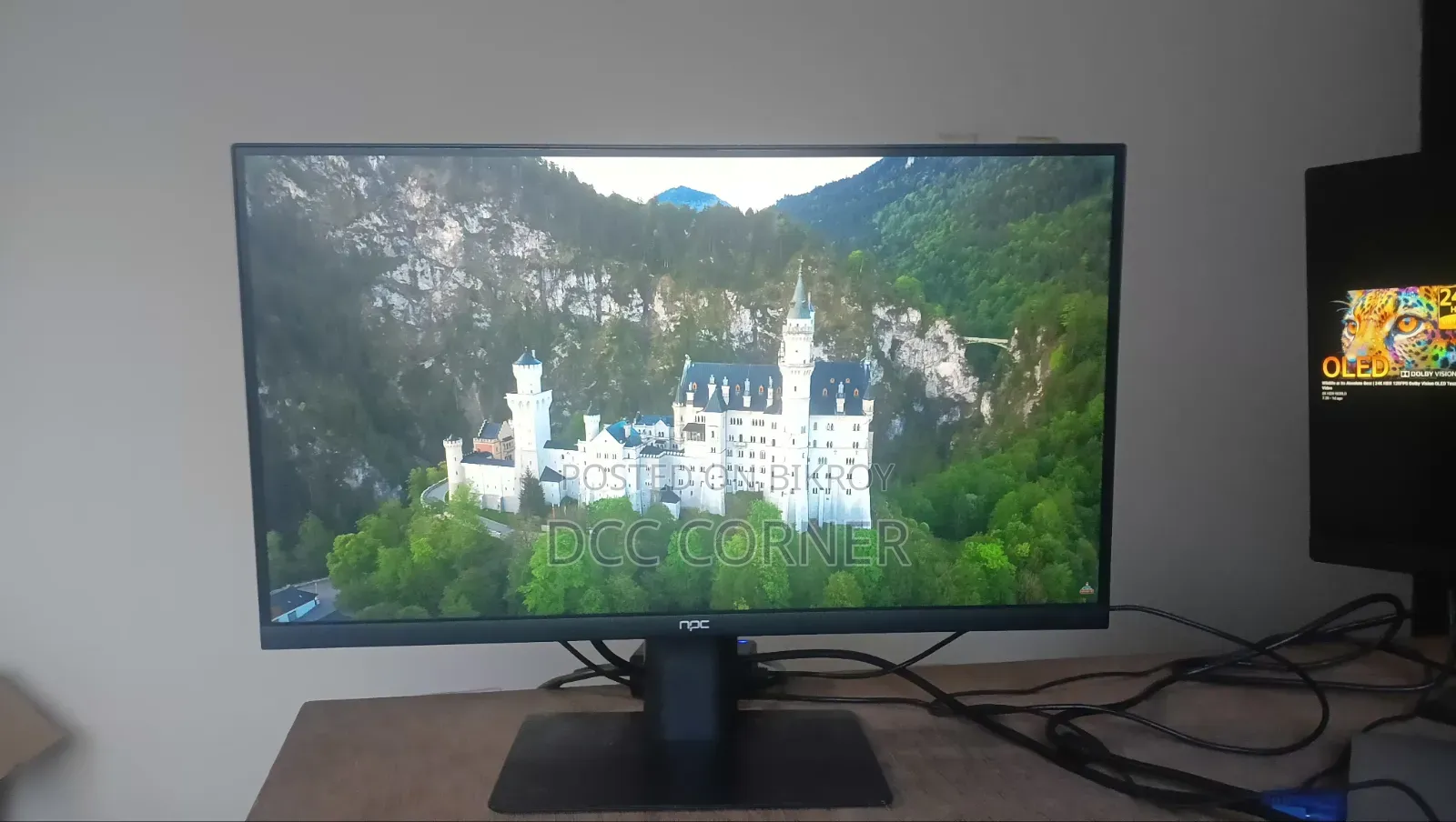 NPC 22" IPS Display Full HD Borderless Monitor