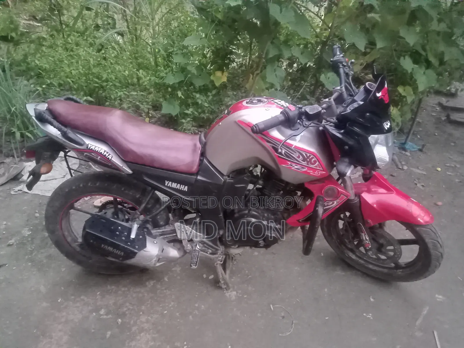 Yamaha FZ 2010 Silver