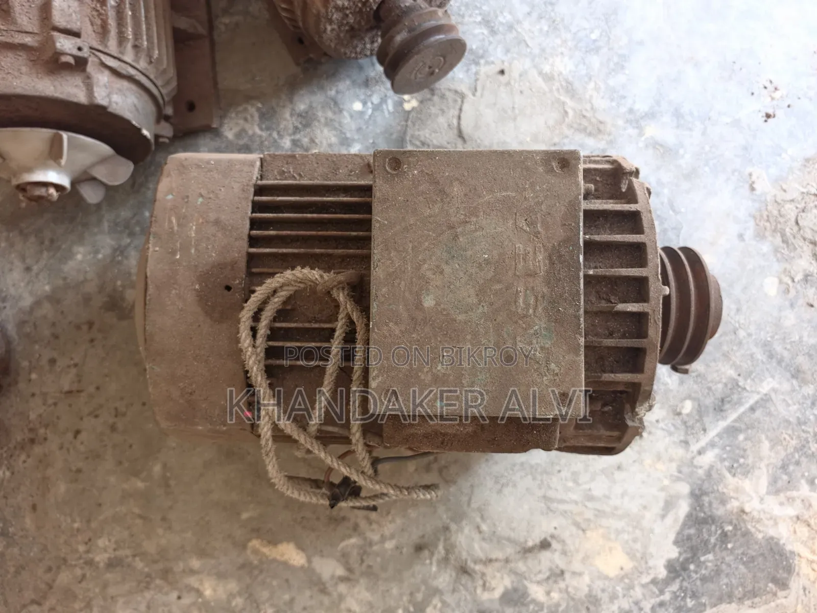 Industrial Motor