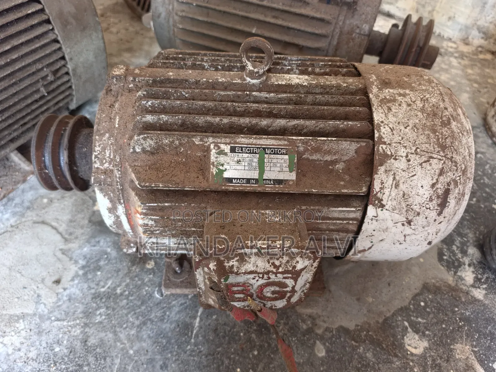 Industrial Motor