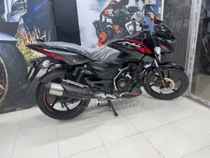 Bajaj Pulsar 150 2024 Black