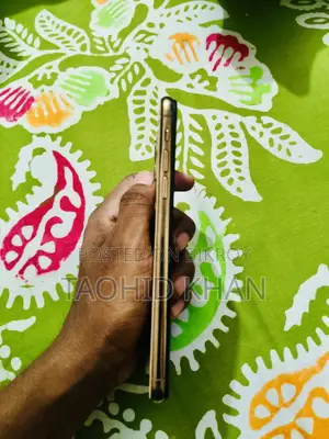 অ্যাপল আইফোন ১১ প্রো ম্যাক্স ২৫৬ জিবি গোল্ড