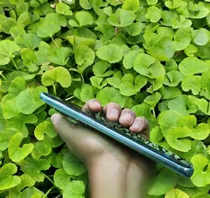 Xiaomi Redmi Note 14 Pro+ 5G 256 GB Red